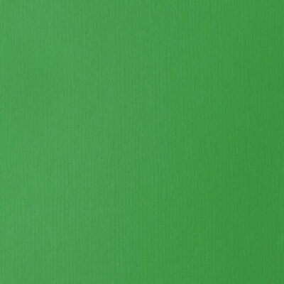 Liquitex - Basics Fluid - Vert clair - Peinture acrylique - Publicité Liquitex - Basics Fluid - Vert clair - Peinture acrylique - Publicité