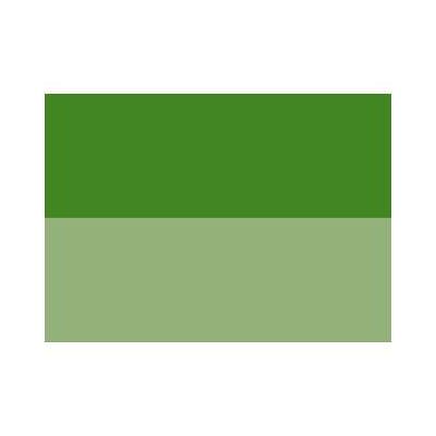 Peinture acrylique Abstract Sennelier, 120 ml, Vert permanent clair - Publicité Peinture acrylique Abstract Sennelier, 120 ml, Vert permanent clair - Publicité