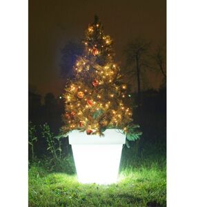 Wimex Sapin avec Pot lumineux Wimex à LED RGB hauteur 140 cm 4504127