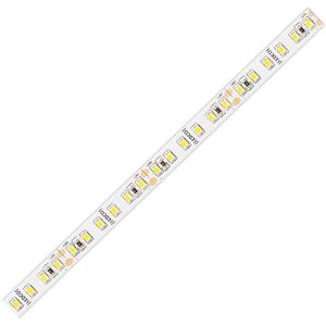 Ledco Bande LED Ledco 50W 16W/MT 4000K 24V IP65 SL120LBN65