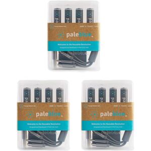 PaleBlue 12 Piles Rechargeables USB-C AAA / HR03 600mAh PaleBlue Lithium Ion 1.5V