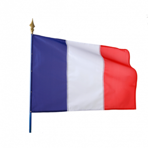 Axess Industries drapeau francais sur hampe   dim. drapeau lxl 90 x 60 cm   modele maille...