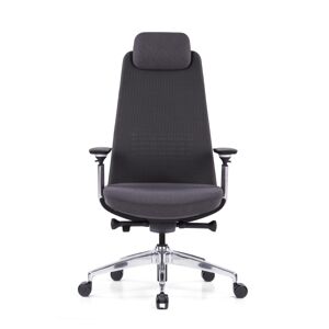 Axess Industries fauteuil de bureau manager grand confort