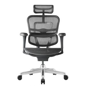 Axess Industries fauteuil de bureau ergonomique classic   coloris structure noire