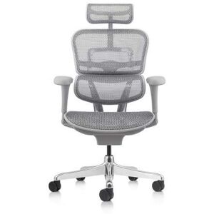 Axess Industries fauteuil de bureau ergonomique classic   coloris structure grise