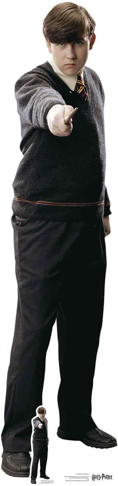 Star Cutouts Silhouette Découpée en Carton Neville Londubat - Harry Potter Star Cutouts Silhouette Découpée en Carton Neville Londubat - Harry Potter