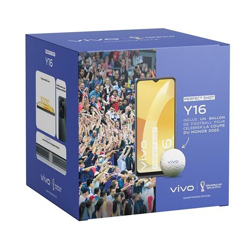 VIVO Pack Smartphone VIVO Y16 12...