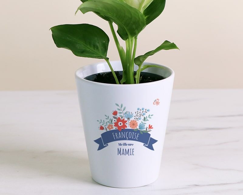 Cadeaux.com Pot de fleurs personnalisé - Mamie fleurie