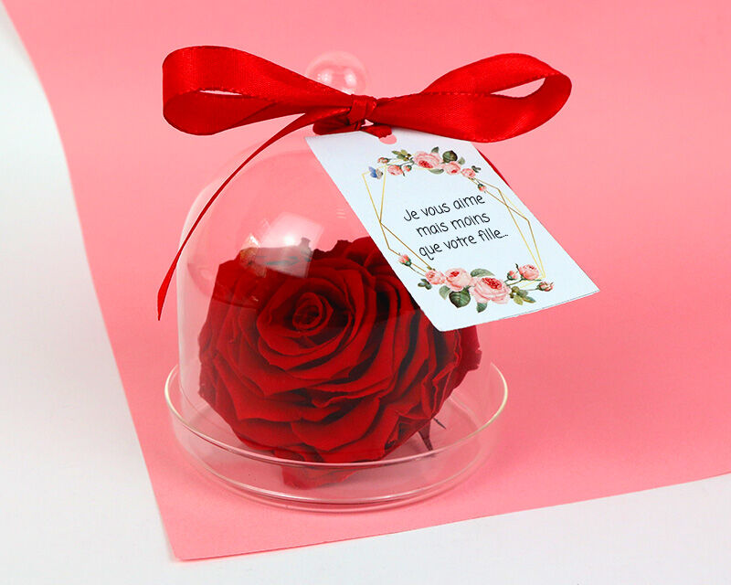Cadeaux.com Rose rouge éternelle en forme de c?ur et son étiquette - Belle maman - Fête des Grands-Pères