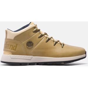 Timberland Bottine De Randonnée Sprint Trekker Pour Homme En Beige Beige, Taille 40