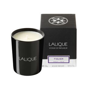 Lalique Voyage de parfumeur Bougie Parfumée 190G - Publicité