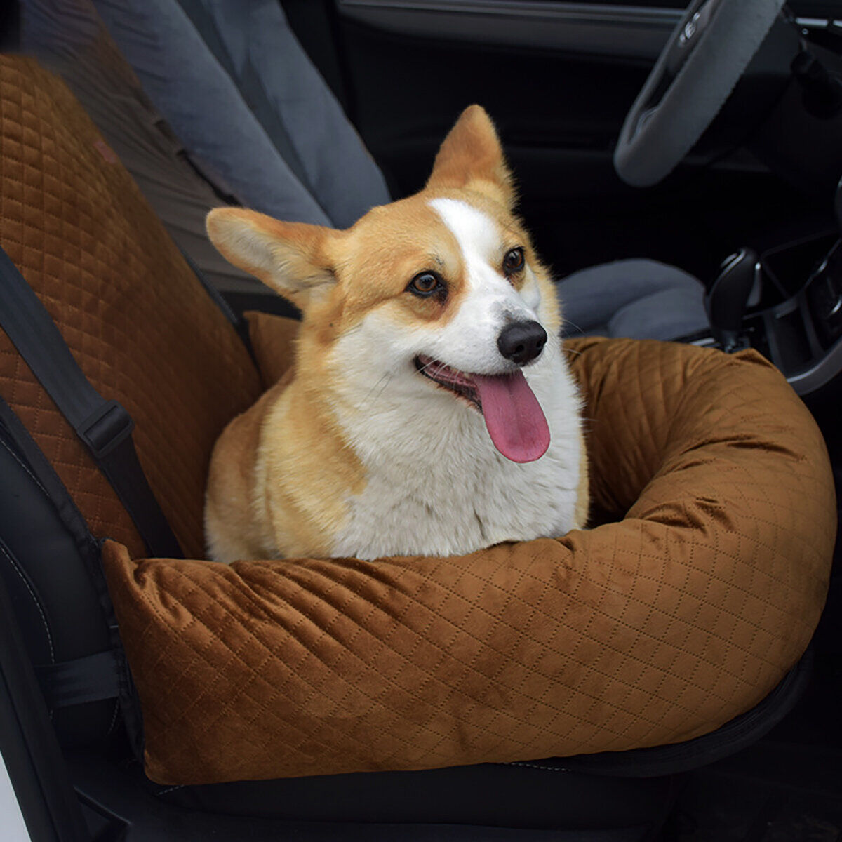 Banggood 2 en 1 housse de siège de voiture pour chien porte-chien pliant coussinets de voiture pour chien amovibles tapis de chie