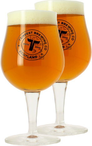 Tempest Brewing Company Pack 2 Verres à Pied Tempest - 25 Cl   Tempest Brewing Company   Saveur Bière Tempest Brewing Company Pack 2 Verres à Pied Tempest - 25 Cl   Tempest Brewing Company   Saveur Bière