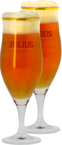 Hoegaarden Pack 2 Verres Hoegaarden Julius 33Cl   Saveur Bière Hoegaarden Pack 2 Verres Hoegaarden Julius 33Cl   Saveur Bière
