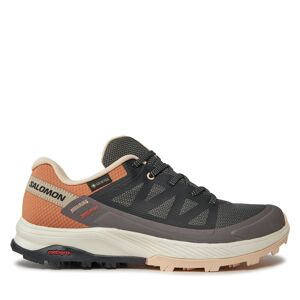 Chaussures de trekking Salomon Outrise Gtx W L47219100 Magnet/Black/Coral Gold