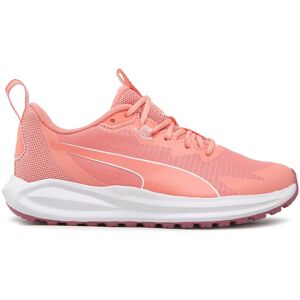 Chaussures Puma Twitch Runner Trail Jr 377581 03 Carnation Pink/Dusty Orchid