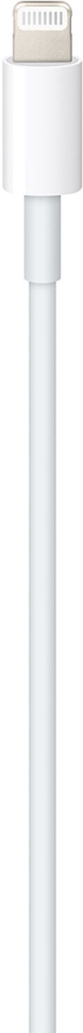 Apple Câble USB-C vers Lightning - 1 mètre Apple Câble USB-C vers Lightning - 1 mètre