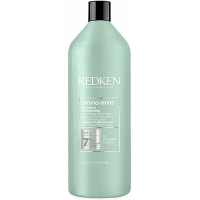 Shampoing Amino-Mint de Redken - 1000ml - Publicité Shampoing Amino-Mint de Redken - 1000ml - Publicité