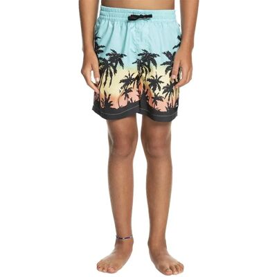 Quiksilver Short De Bain Paradise 14 Angel Blue 16 Années Garçon - Publicité Quiksilver Short De Bain Paradise 14 Angel Blue 16 Années Garçon - Publicité