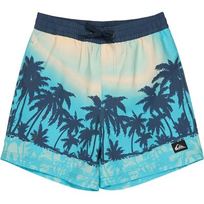 Quiksilver Short De Bain Everyday Printed Volley 14´´ Aqua Thermotropics 10 Années Garçon - Publicité Quiksilver Short De Bain Everyday Printed Volley 14´´ Aqua Thermotropics 10 Années Garçon - Publicité