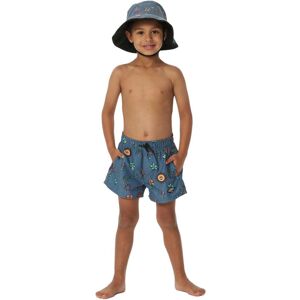 Rip Curl Mystic Waves Sun Volley Toddler Swimming Shorts Bleu 5-6 Years Garcon Bleu 5-6 Annees male