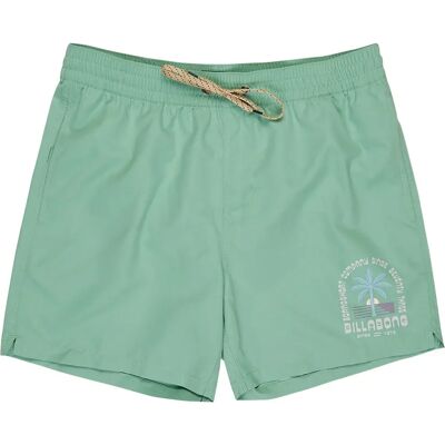 Billabong Short De Bain Foundation Green Ash M Homme - Publicité Billabong Short De Bain Foundation Green Ash M Homme - Publicité