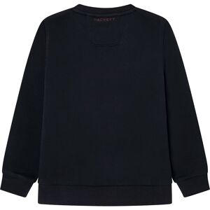 Hackett Aston Martin Embossed Sweatshirt Noir 13 Years Garcon Noir 13 Annees male