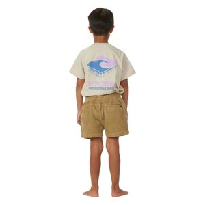 Rip Curl Surf Cord Volley Toddler Shorts Beige 5-6 Years Garcon Beige 5-6 Annees male