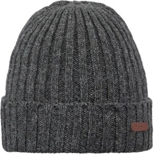 Barts Bonnet Haakon Turnup Charcoal One Size unisex - Publicité Barts Bonnet Haakon Turnup Charcoal One Size unisex - Publicité