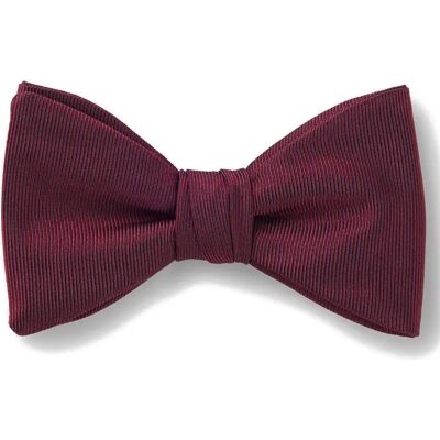 Hugo Nœud Papillon 10262219 Red Dark Pink One Size - Publicité Hugo Nœud Papillon 10262219 Red Dark Pink One Size - Publicité