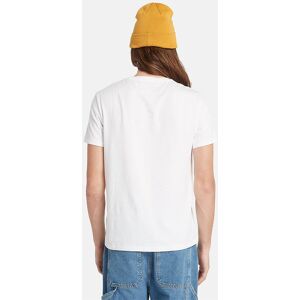 Timberland Basic Jersey Slim Short Sleeve T shirt 3 Units Blanc S Homme Blanc S male