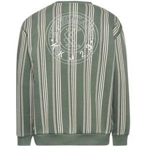 Karl Kani Small Signature Striped Sweatshirt Vert L Homme Vert L male