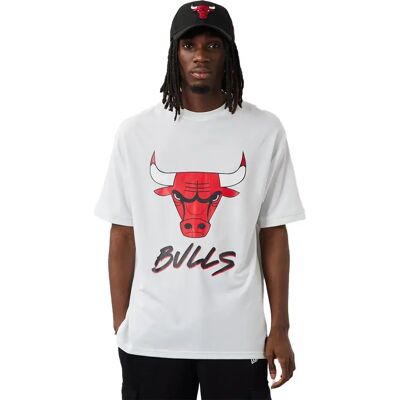 New Era T-shirt à Manches Courtes Chicago Bulls Nba Script Mesh White / Front Door Red M - Publicité New Era T-shirt à Manches Courtes Chicago Bulls Nba Script Mesh White / Front Door Red M - Publicité