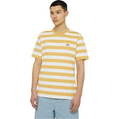 Dickies T-shirt à Manches Courtes Rivergrove Fall Leaf S Homme - Publicité Dickies T-shirt à Manches Courtes Rivergrove Fall Leaf S Homme - Publicité