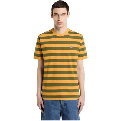 Dickies T-shirt à Manches Courtes Rivergrove Cypress L Homme - Publicité Dickies T-shirt à Manches Courtes Rivergrove Cypress L Homme - Publicité