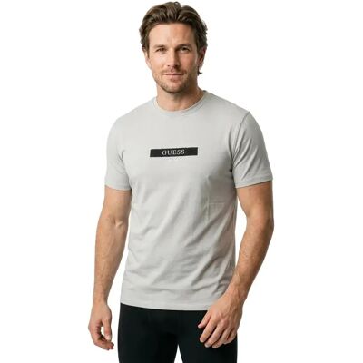 Guess T-shirt à Manches Courtes M6ri17j1314 Warm Stone Grey 2XL Homme - Publicité Guess T-shirt à Manches Courtes M6ri17j1314 Warm Stone Grey 2XL Homme - Publicité