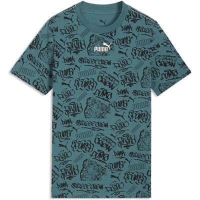 Puma T-shirt à Manches Courtes Mid90s Emerald Ice 15-16 Années - Publicité Puma T-shirt à Manches Courtes Mid90s Emerald Ice 15-16 Années - Publicité