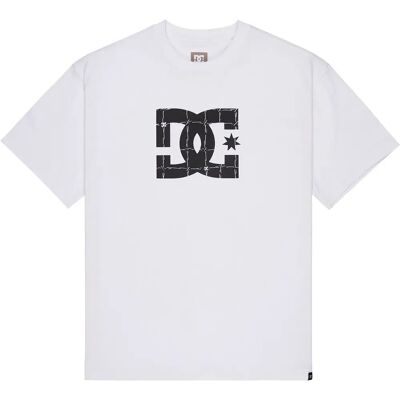 Dc Shoes T-shirt à Manches Courtes Star Filled White 2XL Homme - Publicité Dc Shoes T-shirt à Manches Courtes Star Filled White 2XL Homme - Publicité