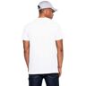 New Era Miami Dolphins Team Logo Short Sleeve T-shirt Blanc S Homme Blanc S male