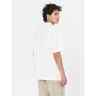 Dickies West Vale Short Sleeve T-shirt Blanc S Homme Blanc S male