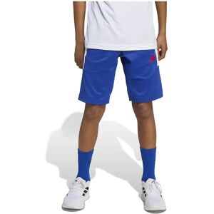 Adidas Short House Of Tiro Semi Lucid Blue / Pure Ruby / White 11-12 Années Garçon,Fille - Publicité Adidas Short House Of Tiro Semi Lucid Blue / Pure Ruby / White 11-12 Années Garçon,Fille - Publicité