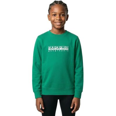 Napapijri Sweat-shirt B-box 2 Green Parakeet 10 Années Garçon,Fille - Publicité Napapijri Sweat-shirt B-box 2 Green Parakeet 10 Années Garçon,Fille - Publicité