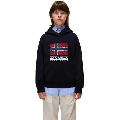 Napapijri Sweat à Capuche Adige Blu Marine 12 Années Garçon,Fille - Publicité Napapijri Sweat à Capuche Adige Blu Marine 12 Années Garçon,Fille - Publicité