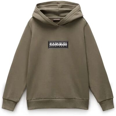 Napapijri Sweat à Capuche Chamois Tea Leaf 14 Années Garçon,Fille - Publicité Napapijri Sweat à Capuche Chamois Tea Leaf 14 Années Garçon,Fille - Publicité
