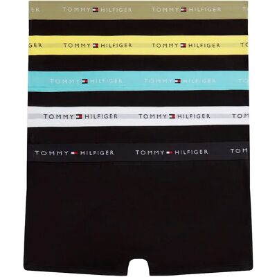 Tommy Hilfiger Boxers Um0um03893 Trunk 5 Unités Kentucky State / Lime Cordial / Black / Aruba Aqua / White L Homme - Publicité Tommy Hilfiger Boxers Um0um03893 Trunk 5 Unités Kentucky State / Lime Cordial / Black / Aruba Aqua / White L Homme - Publicité
