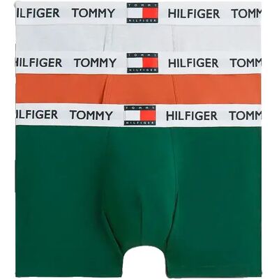 Tommy Hilfiger Boxers Um0um03835 Trunk 3 Unités Terra Rust / Ornamental Green / Light Grey Heather L Homme - Publicité Tommy Hilfiger Boxers Um0um03835 Trunk 3 Unités Terra Rust / Ornamental Green / Light Grey Heather L Homme - Publicité
