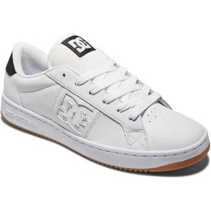 Dc Shoes Baskets Striker White / Black / Gum EU 44 Homme - Publicité Dc Shoes Baskets Striker White / Black / Gum EU 44 Homme - Publicité