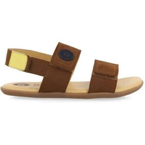 Gioseppo Sandales Cornwall Leather EU 31 Garçon,Fille - Publicité Gioseppo Sandales Cornwall Leather EU 31 Garçon,Fille - Publicité