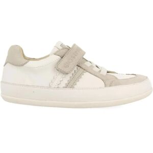 Gioseppo Baskets Skradin White EU 27 Garçon,Fille - Publicité Gioseppo Baskets Skradin White EU 27 Garçon,Fille - Publicité