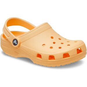 Crocs Sabots Classic Toddler Golden Hour EU 25-26 Garçon,Fille - Publicité Crocs Sabots Classic Toddler Golden Hour EU 25-26 Garçon,Fille - Publicité